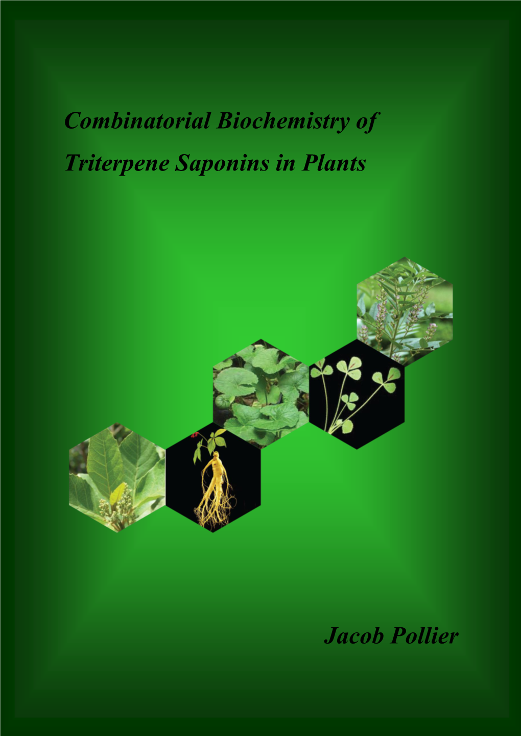 Combinatorial Biochemistry of Triterpene Saponins in Plants Jacob Pollier