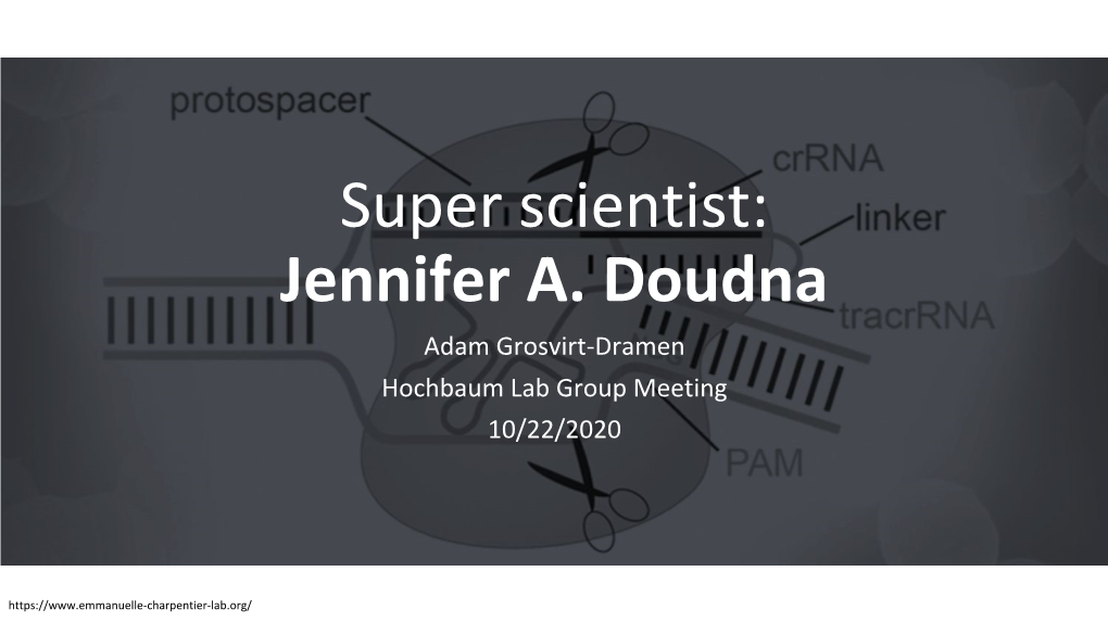 Jennifer A. Doudna Adam Grosvirt-Dramen Hochbaum Lab Group Meeting 10/22/2020