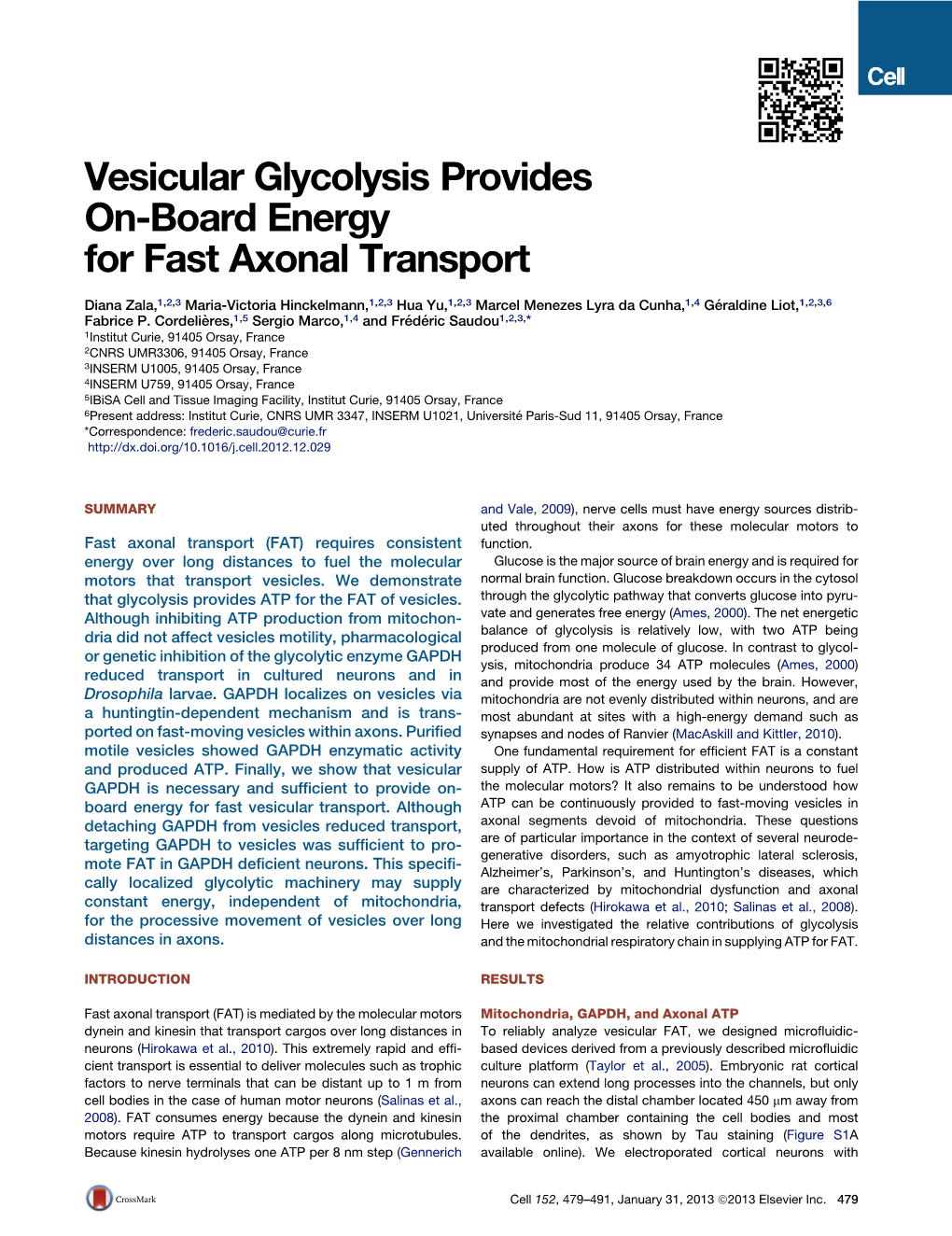 Vesicular Glycolysis Provides On-Board Energy for Fast Axonal Transport