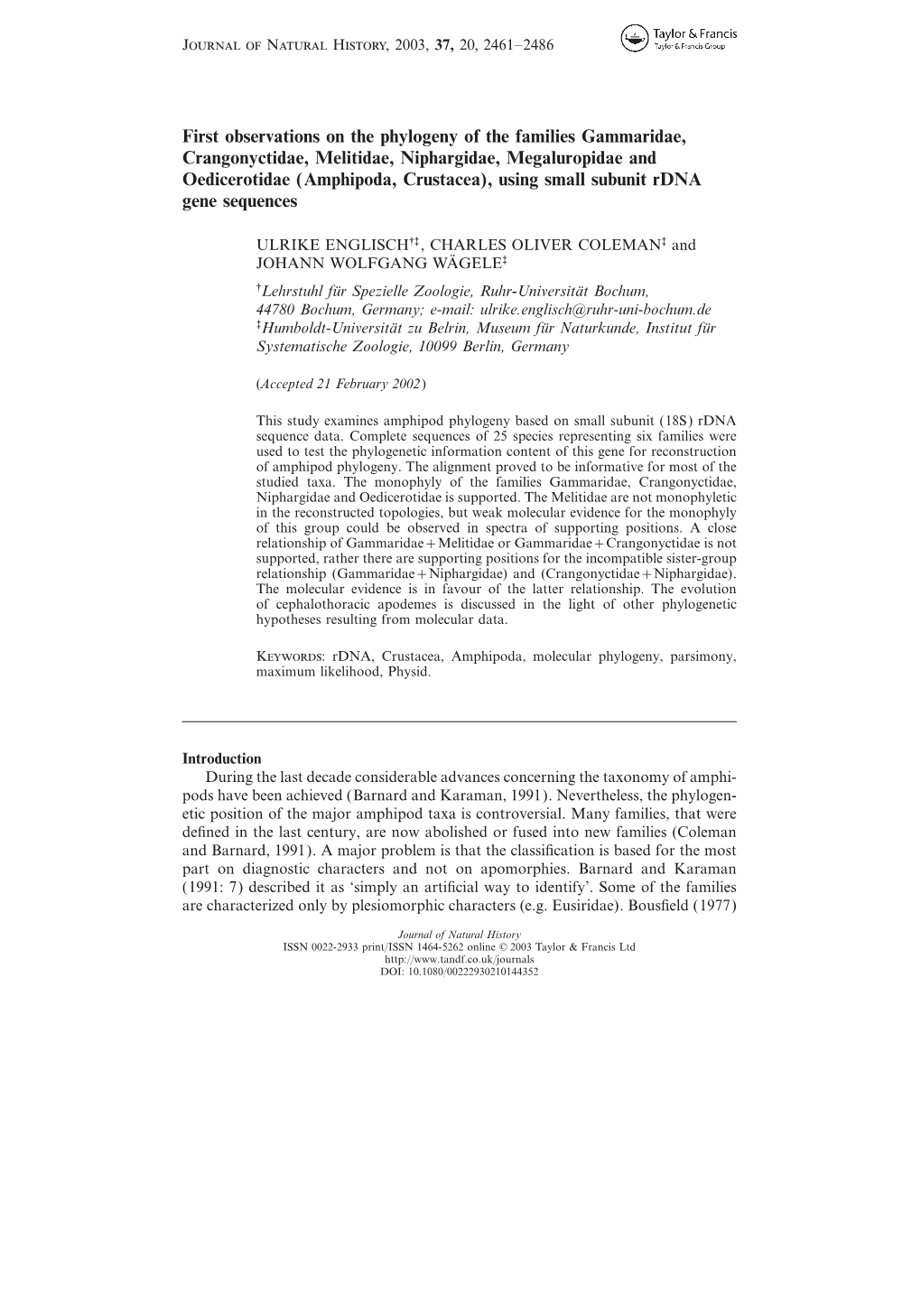 First Observations on the Phylogeny of the Families Gammaridae