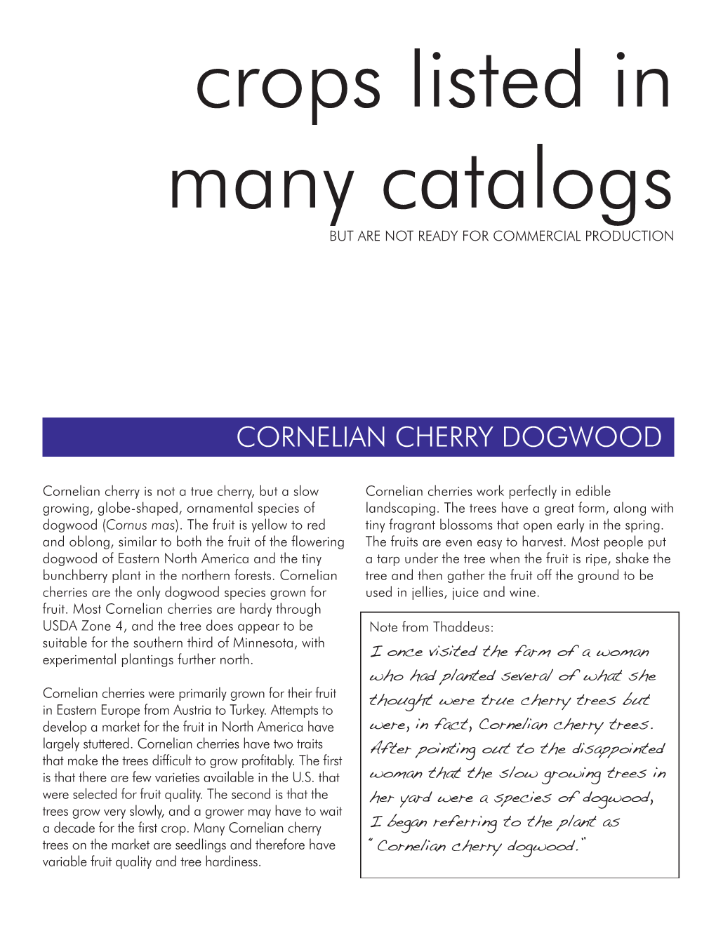 Cornelian Cherry Dogwood