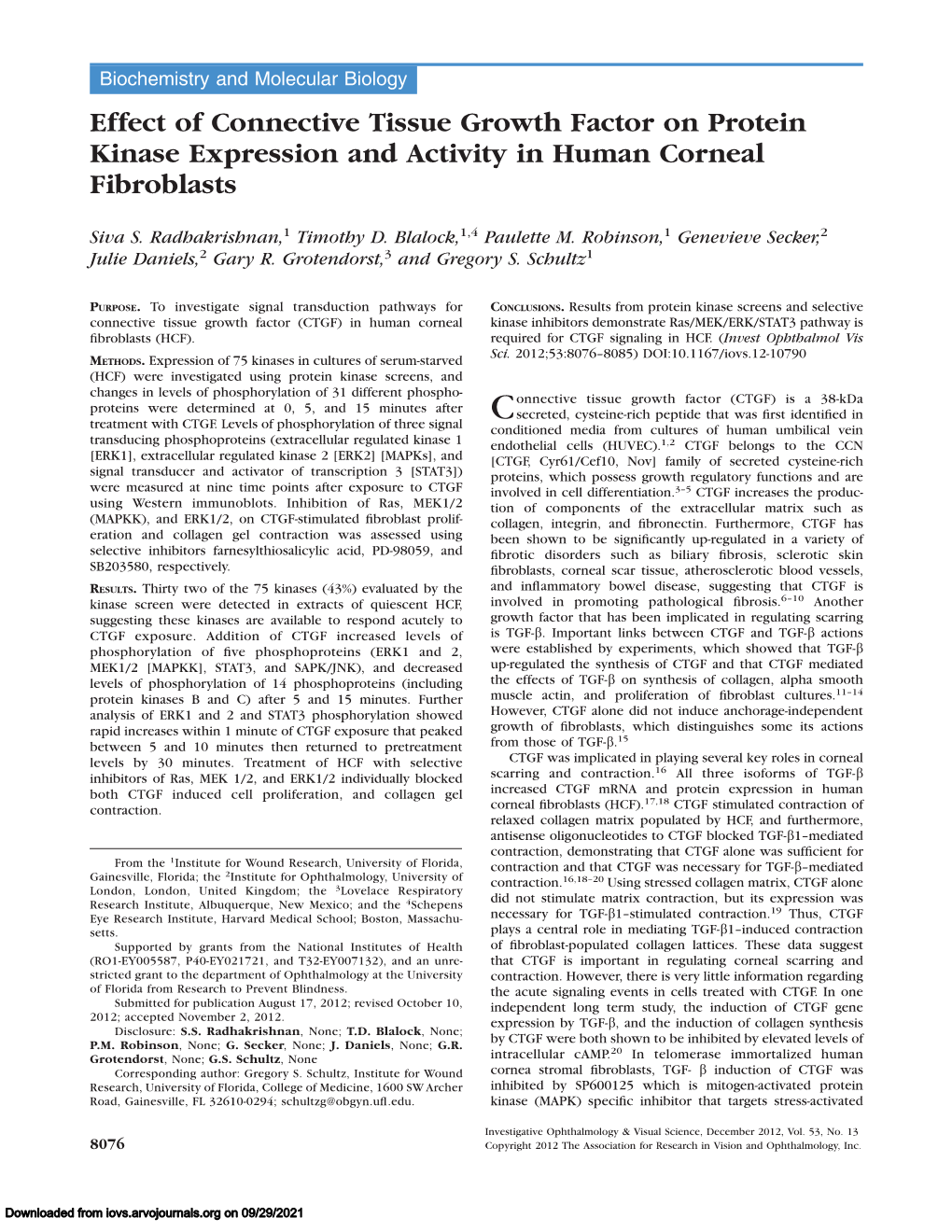 Effect of Connective Tissue Growth Factor on Protein Kinase Expression and Activity in Human Corneal Fibroblasts
