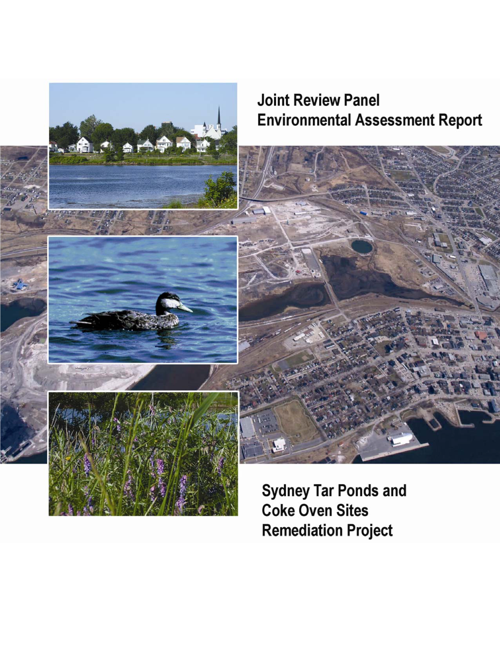Joint Review Panel Has Completed Its Assessment of the Sydney Tar Ponds and Coke Ovens Sites Remediation Project As Proposed by the Sydney Tar Ponds Agency