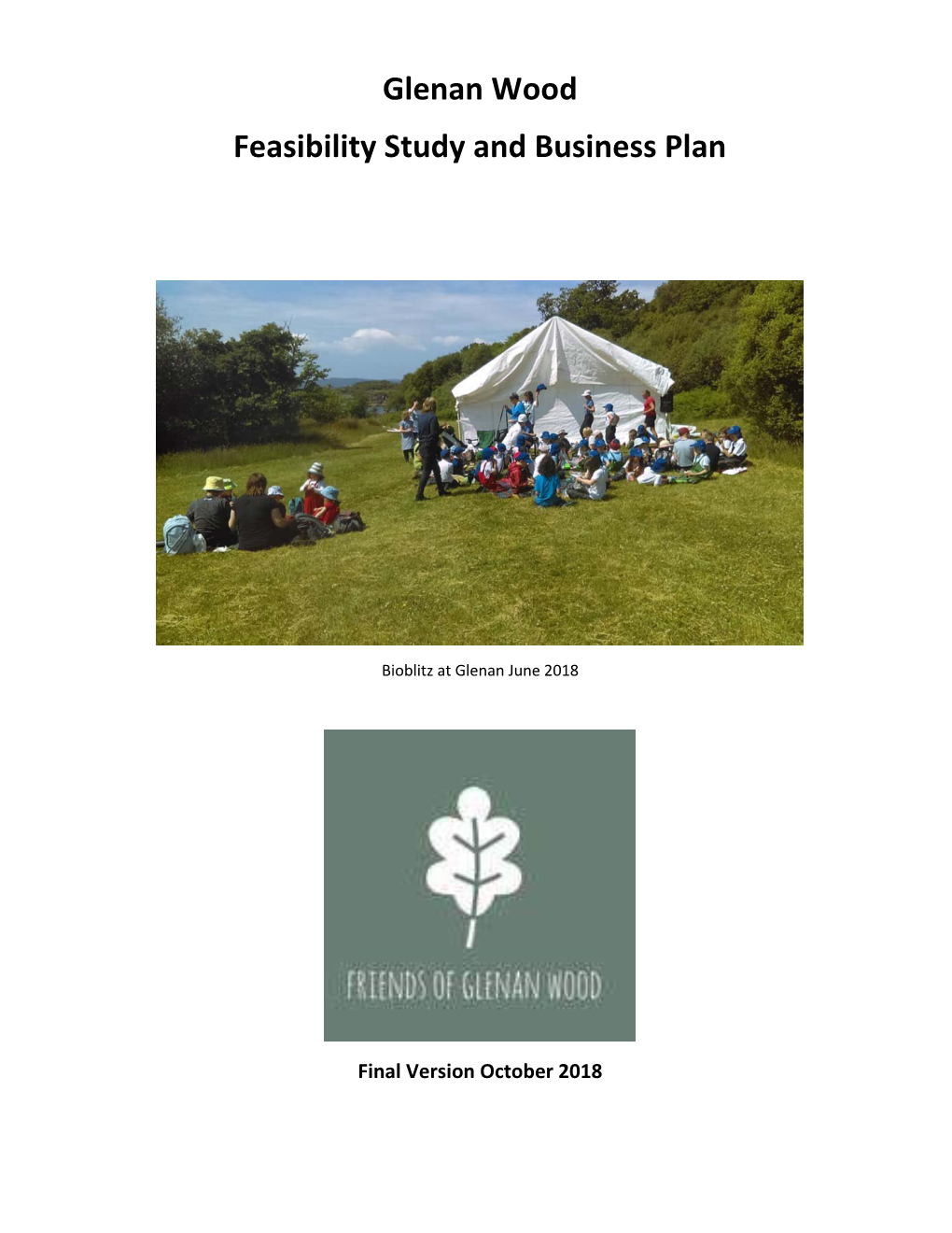 Glenan Wood Feasibility Study and Business Plan