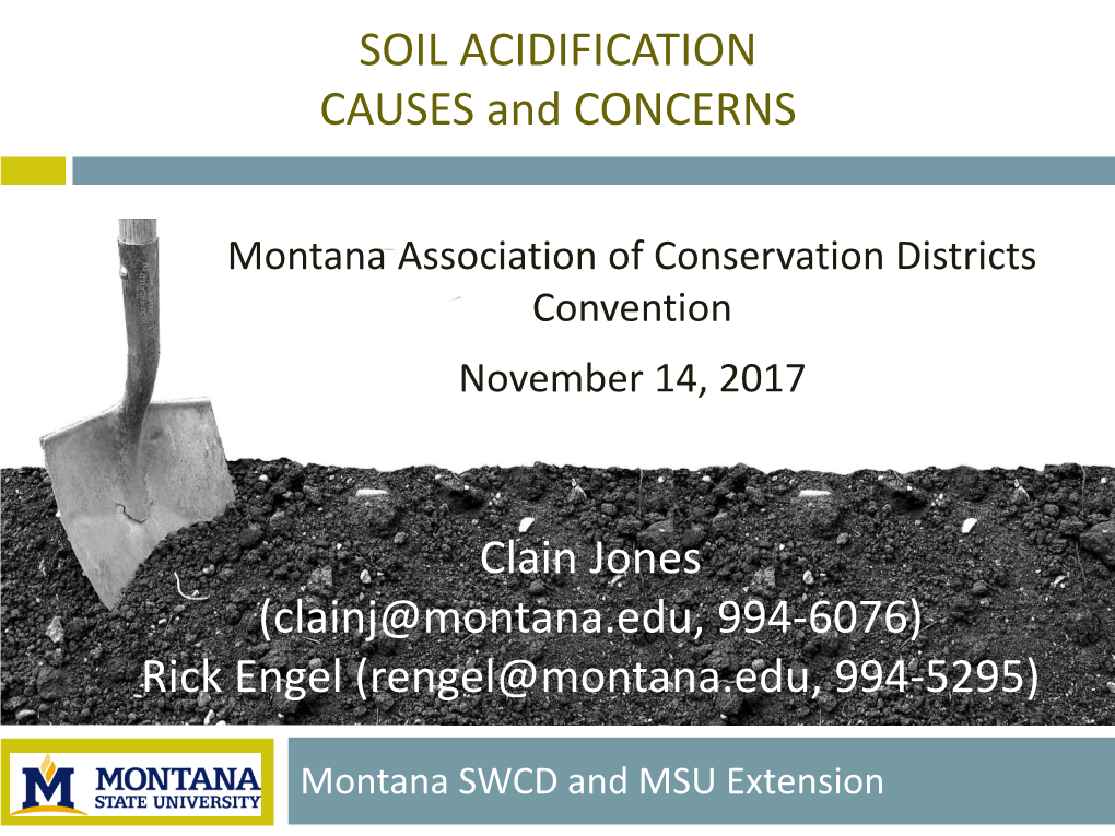 SOIL ACIDIFICATION CAUSES and CONCERNS