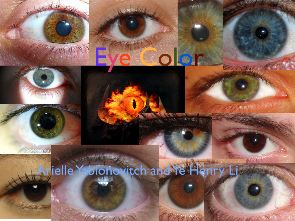 Arielle Yablonovitch and Ye Henry Li Most People in the World Have Brown Eyes, Except in Europe