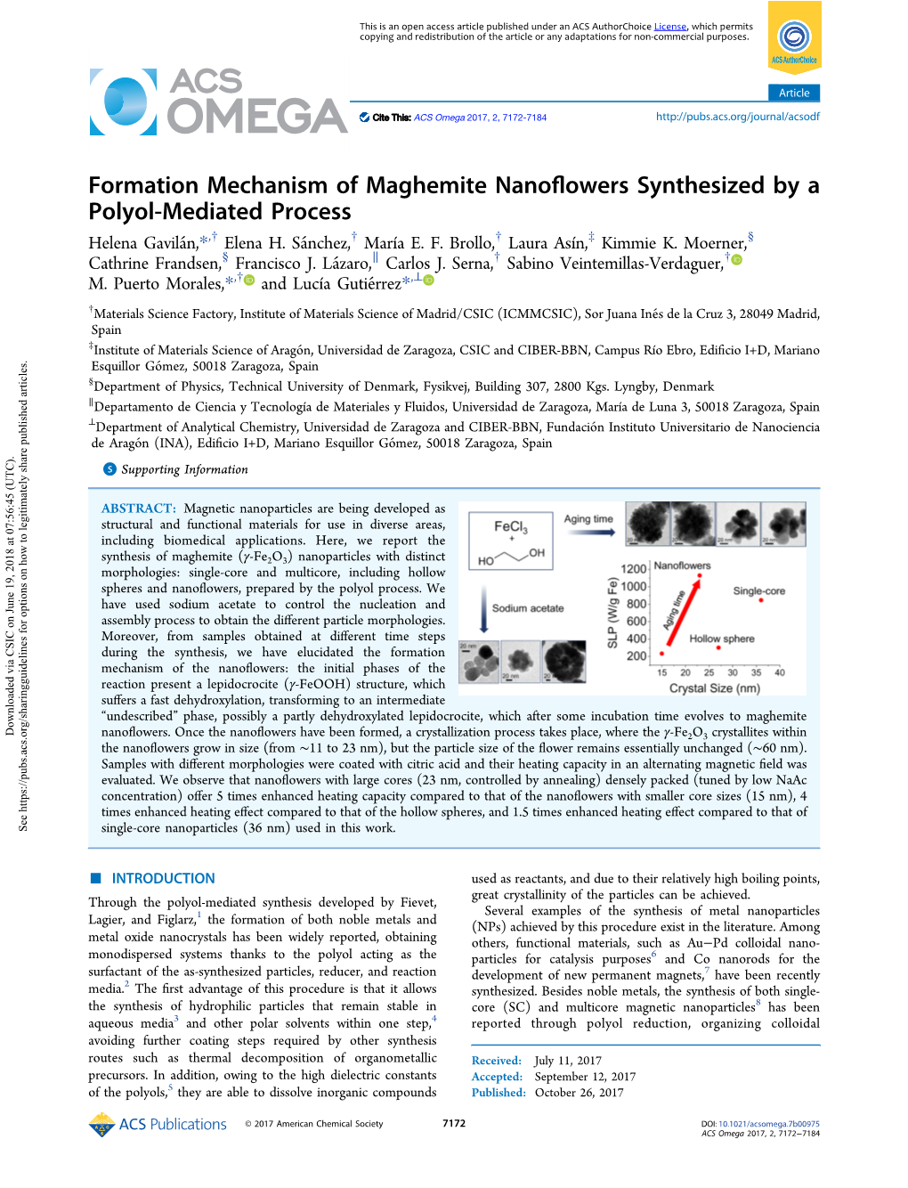 Formation Mechanism of Maghemite Nanoflowers Synthesized by A