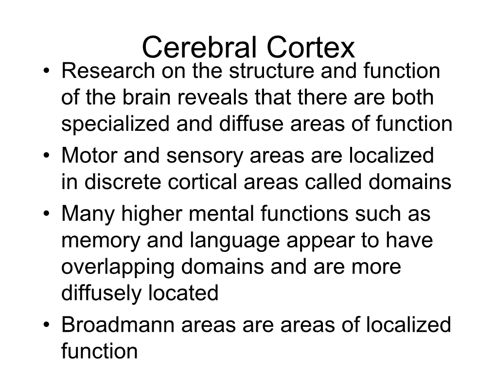 Cerebral Cortex