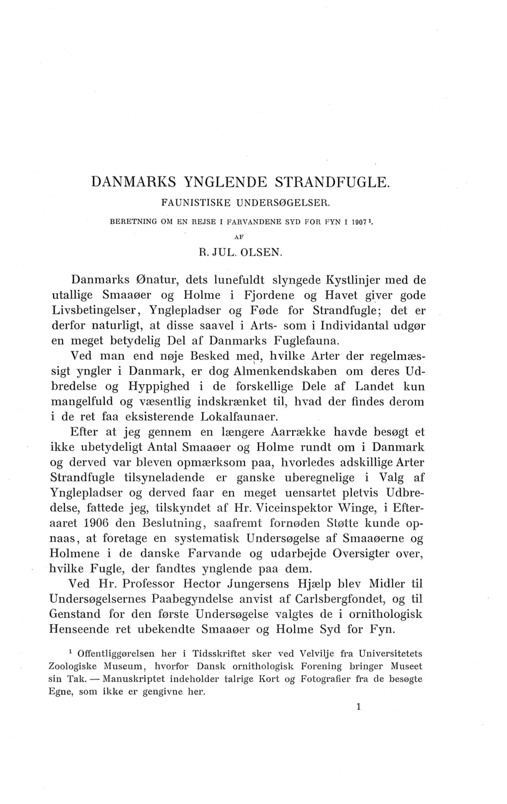 Danmarks Ynglende Strandfugle. Faunistiske Undersøgelser