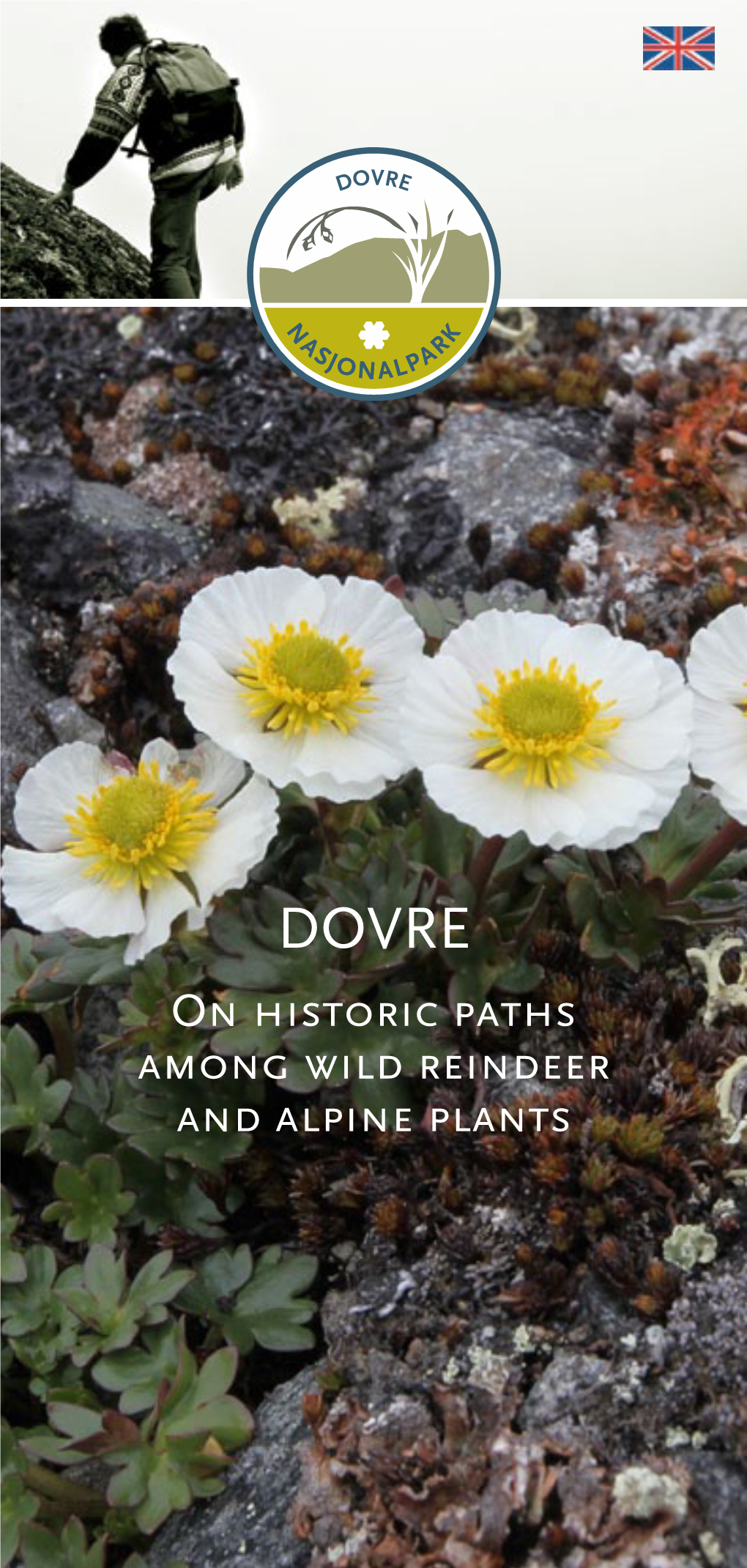 On Historic Paths Among Wild Reindeer and Alpine Plants 2° 3° Dovre National Park Dovre National Park