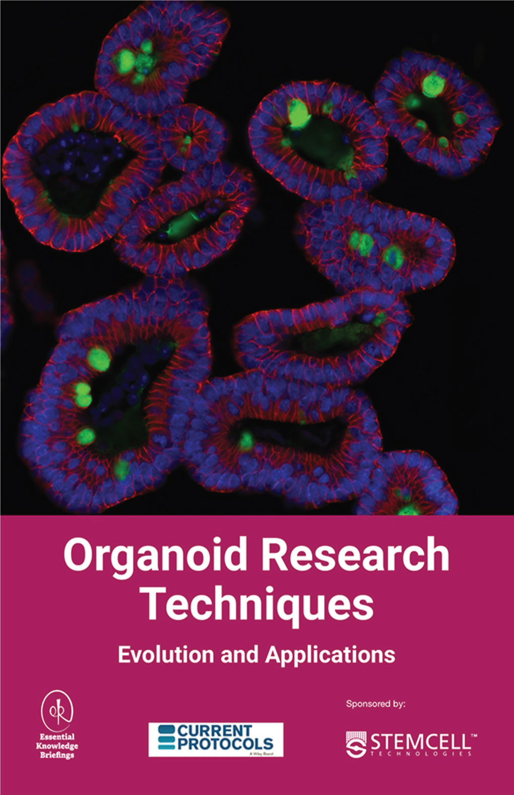 Organoid Research Techniques