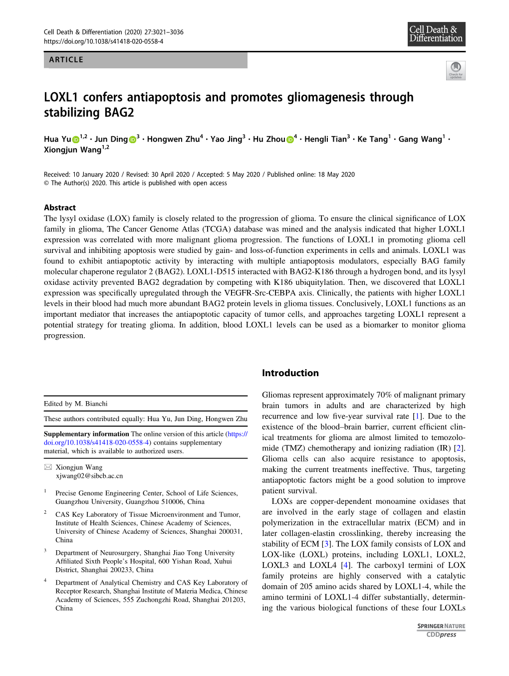 LOXL1 Confers Antiapoptosis and Promotes Gliomagenesis Through Stabilizing BAG2