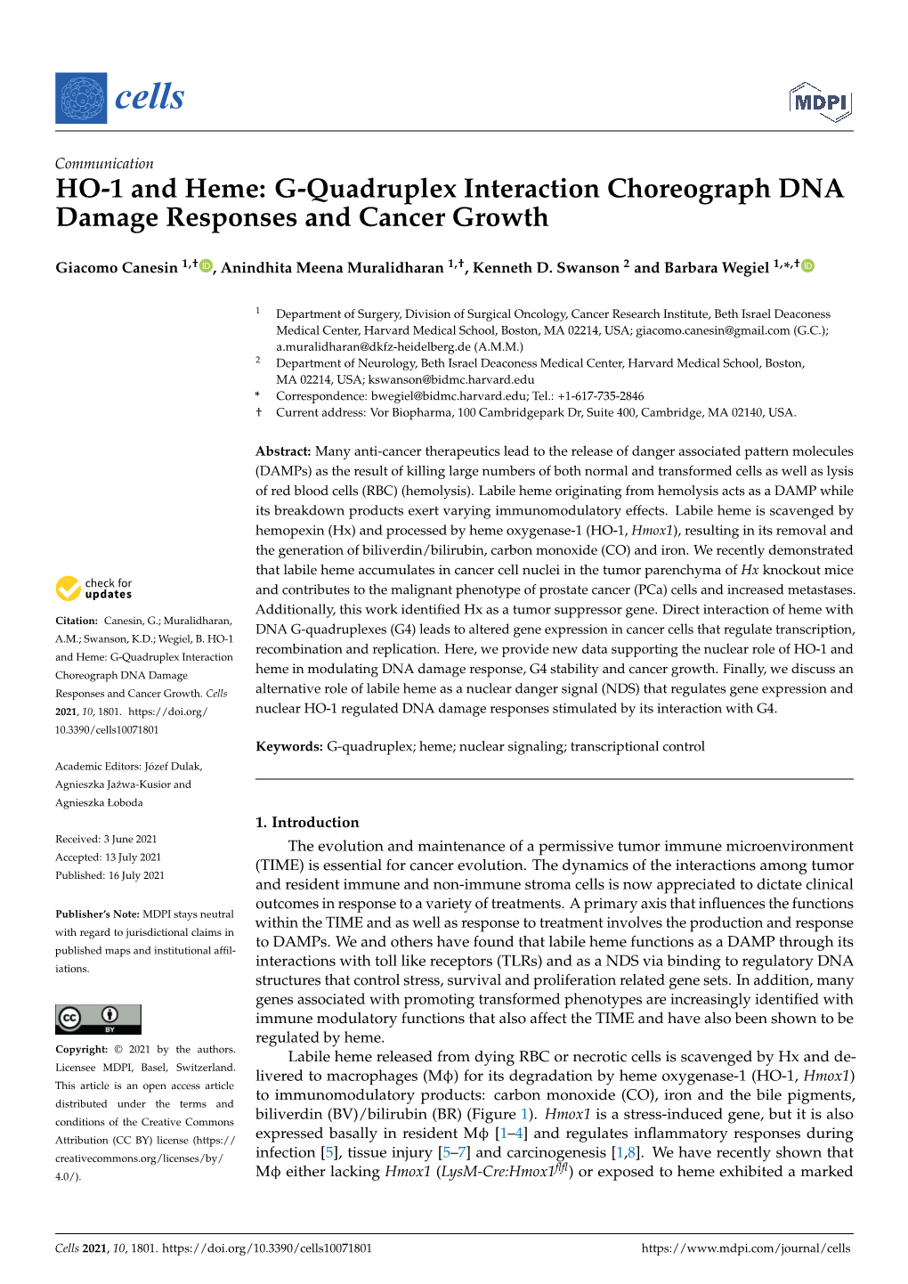 G-Quadruplex Interaction Choreograph DNA Damage Responses and Cancer Growth