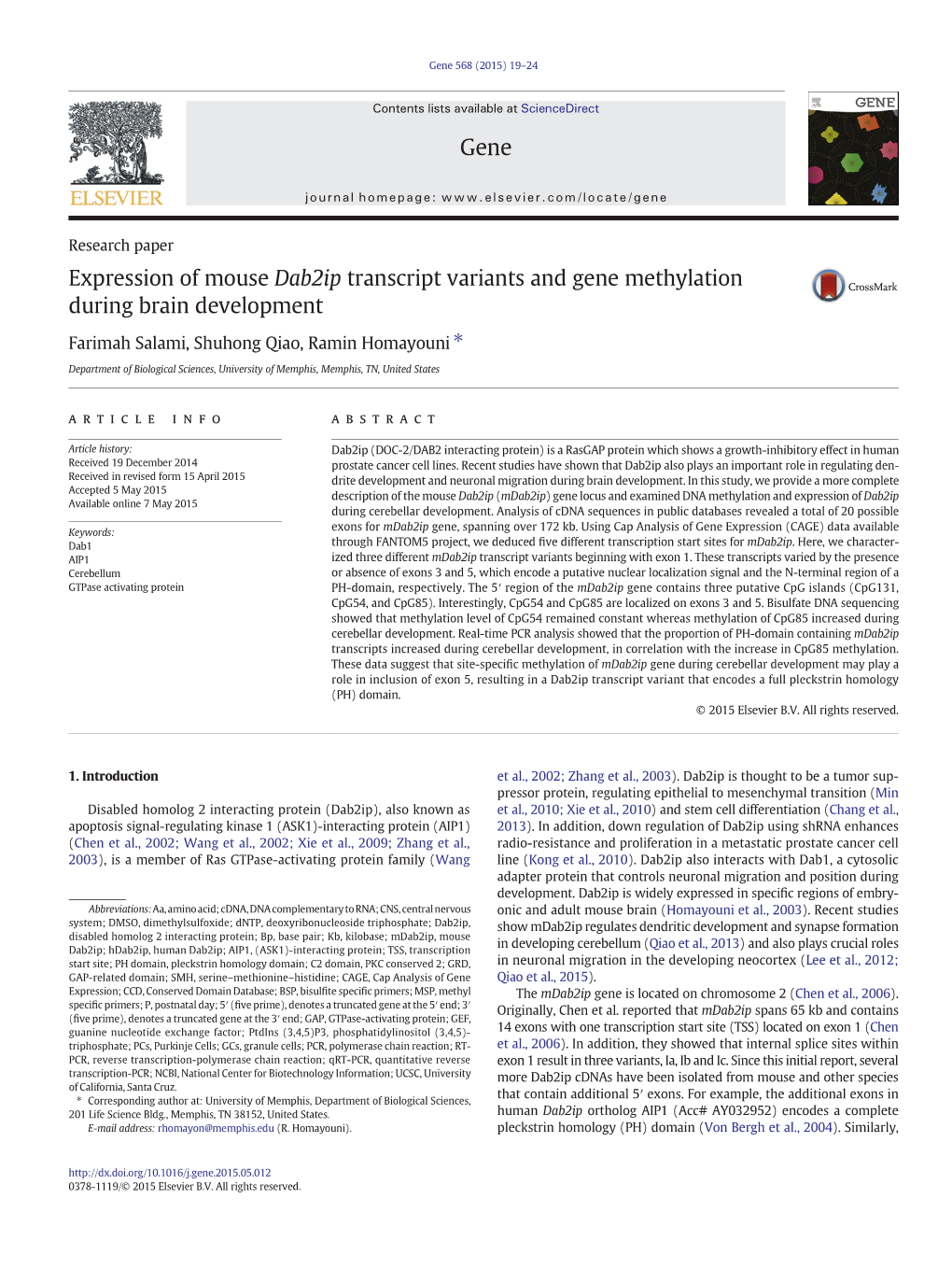 Expression of Mouse Dab2ip Transcript Variants and Gene Methylation During Brain Development