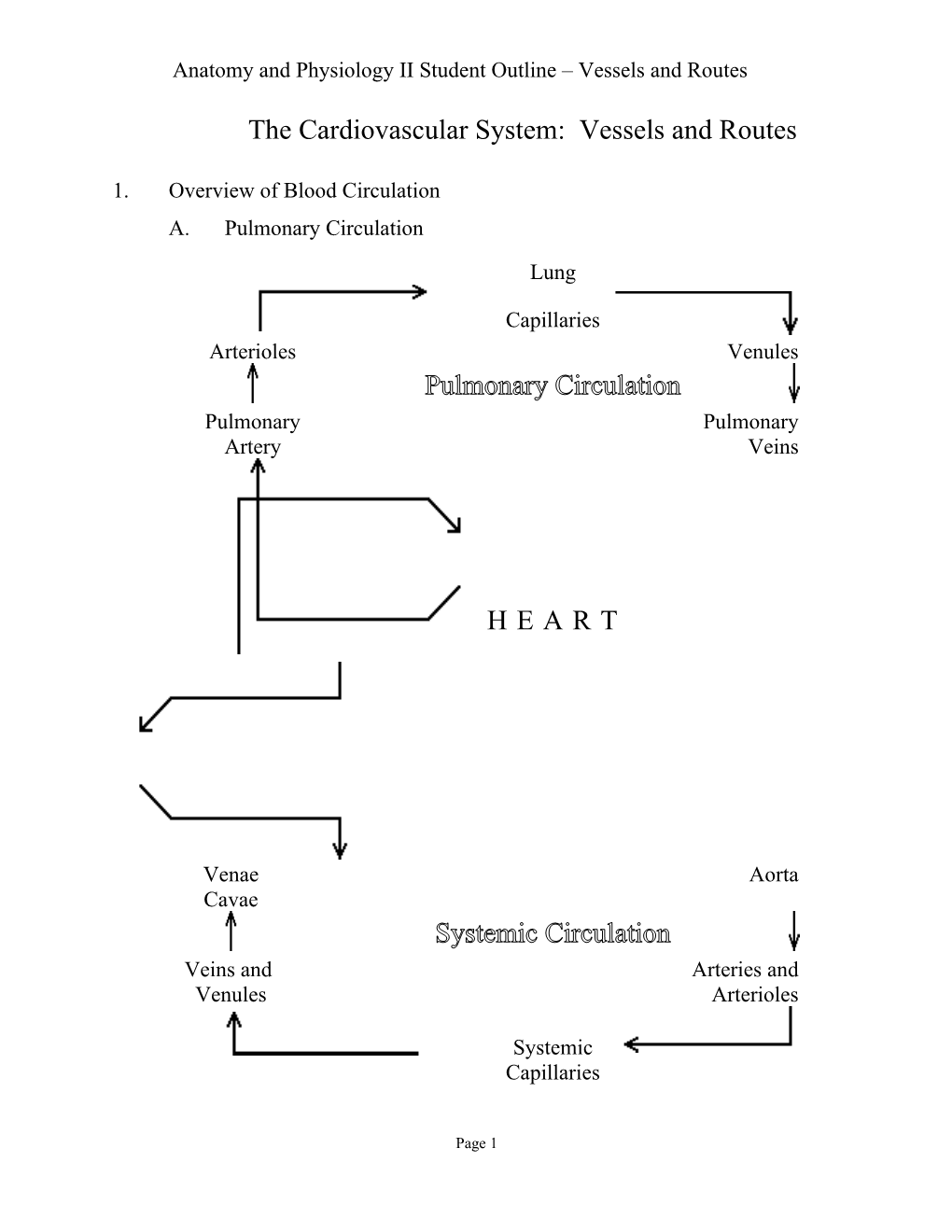The Cardiovascular System: Vessels and Routes