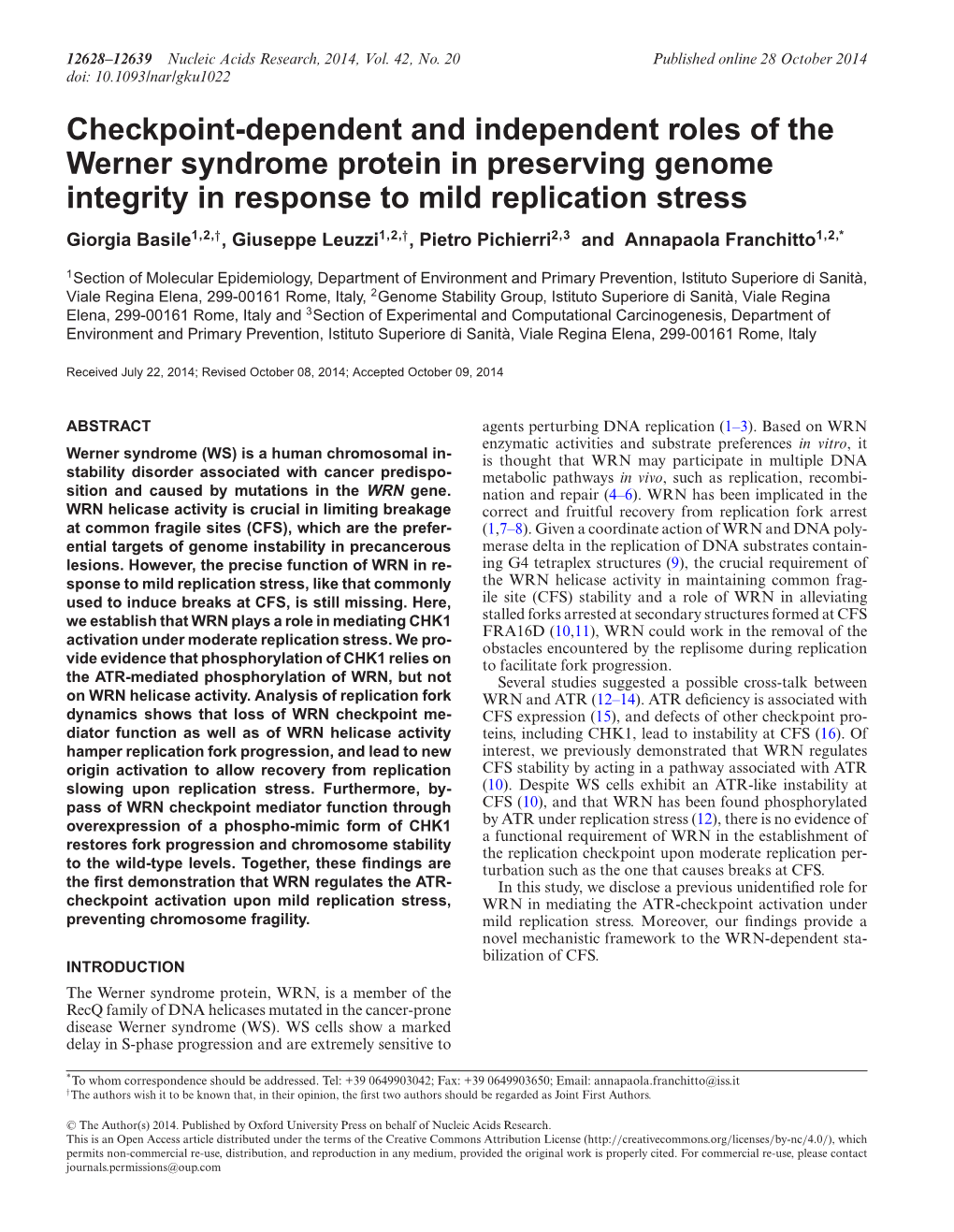 Checkpoint-Dependent and Independent Roles of the Werner