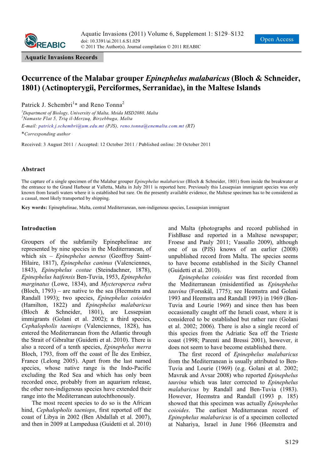 Occurrence of the Malabar Grouper Epinephelus Malabaricus (Bloch & Schneider, 1801) (Actinopterygii, Perciformes, Serranidae), in the Maltese Islands