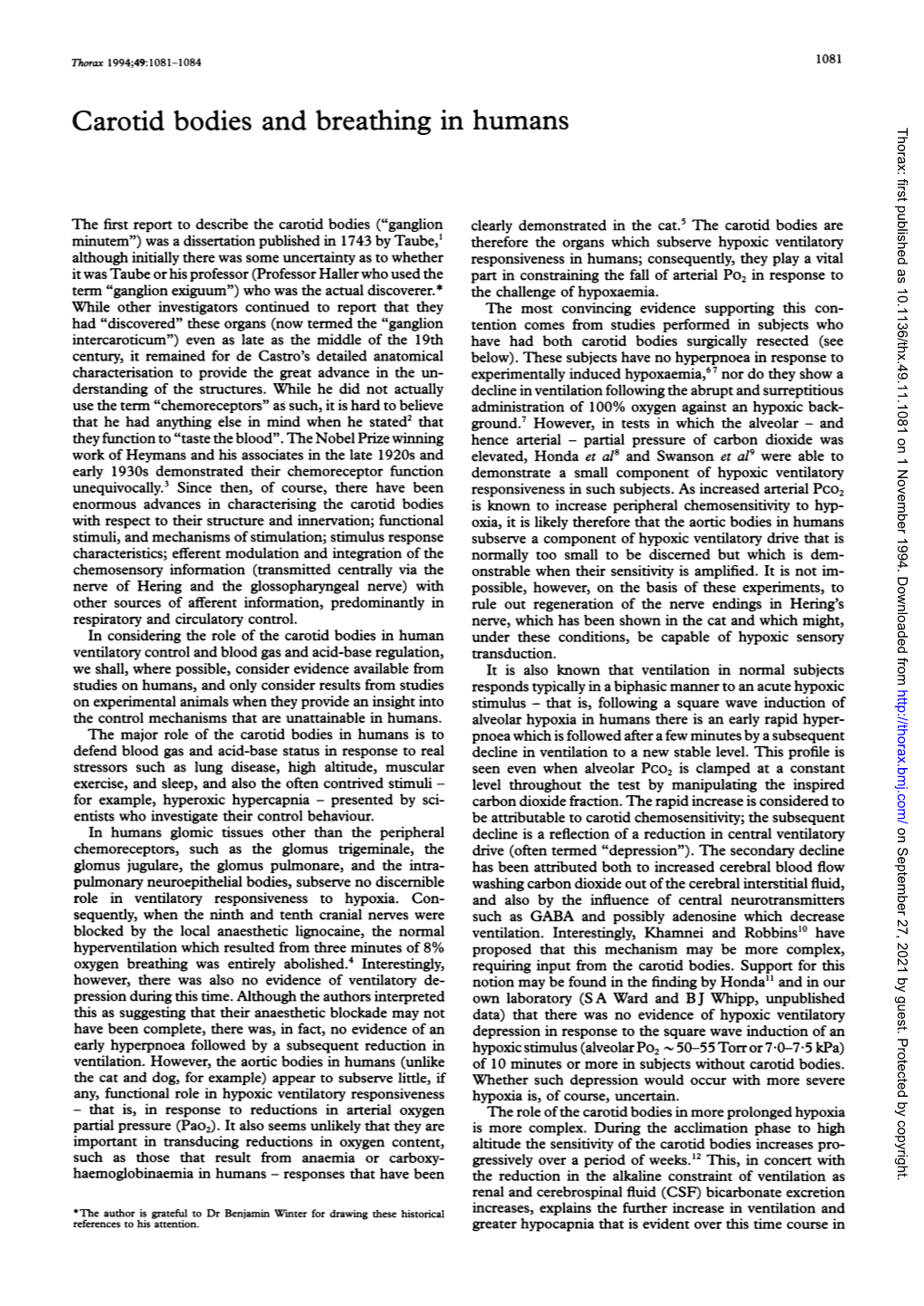 Carotid Bodies and Breathing in Humans Thorax: First Published As 10.1136/Thx.49.11.1081 on 1 November 1994