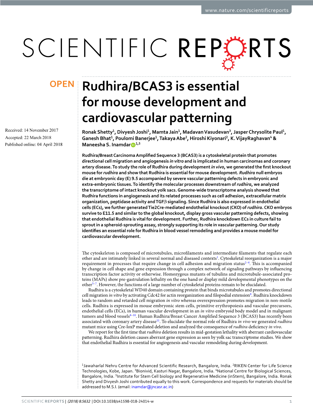 Rudhira/BCAS3 Is Essential for Mouse Development and Cardiovascular