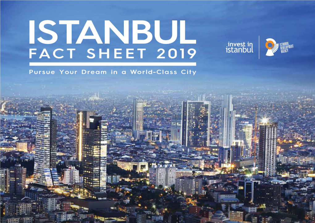 Istanbul Fact Sheet 2019