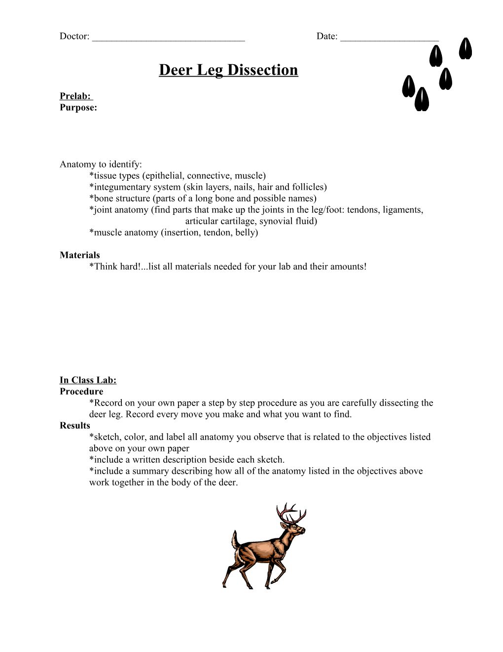 Deer Leg Dissection