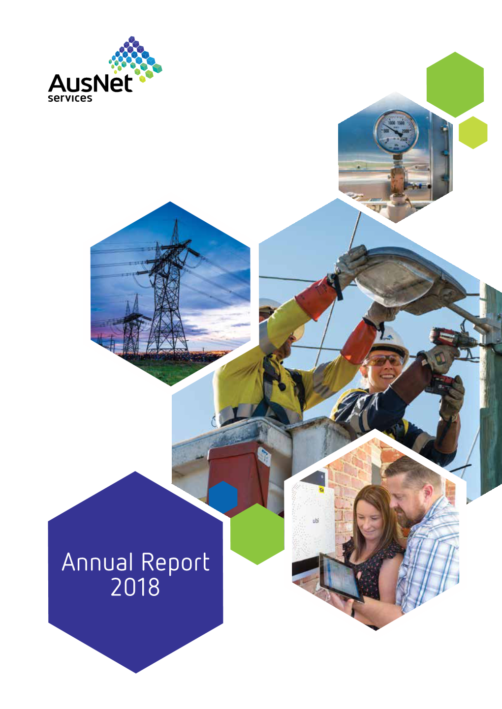 2018 Annual Report