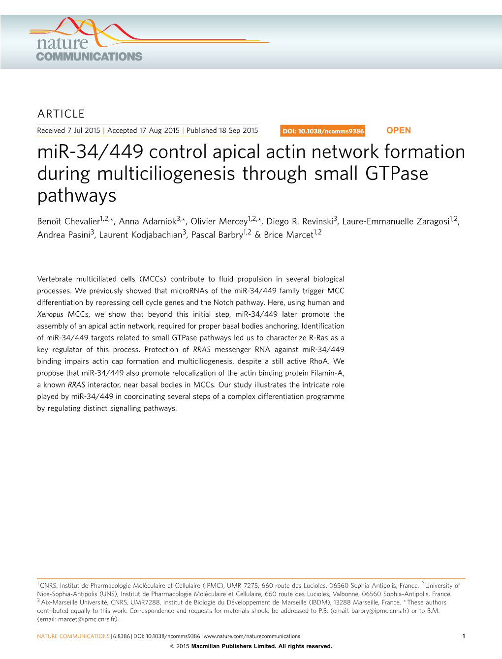 Mir-34/449 Control Apical Actin Network Formation During Multiciliogenesis Through Small Gtpase Pathways