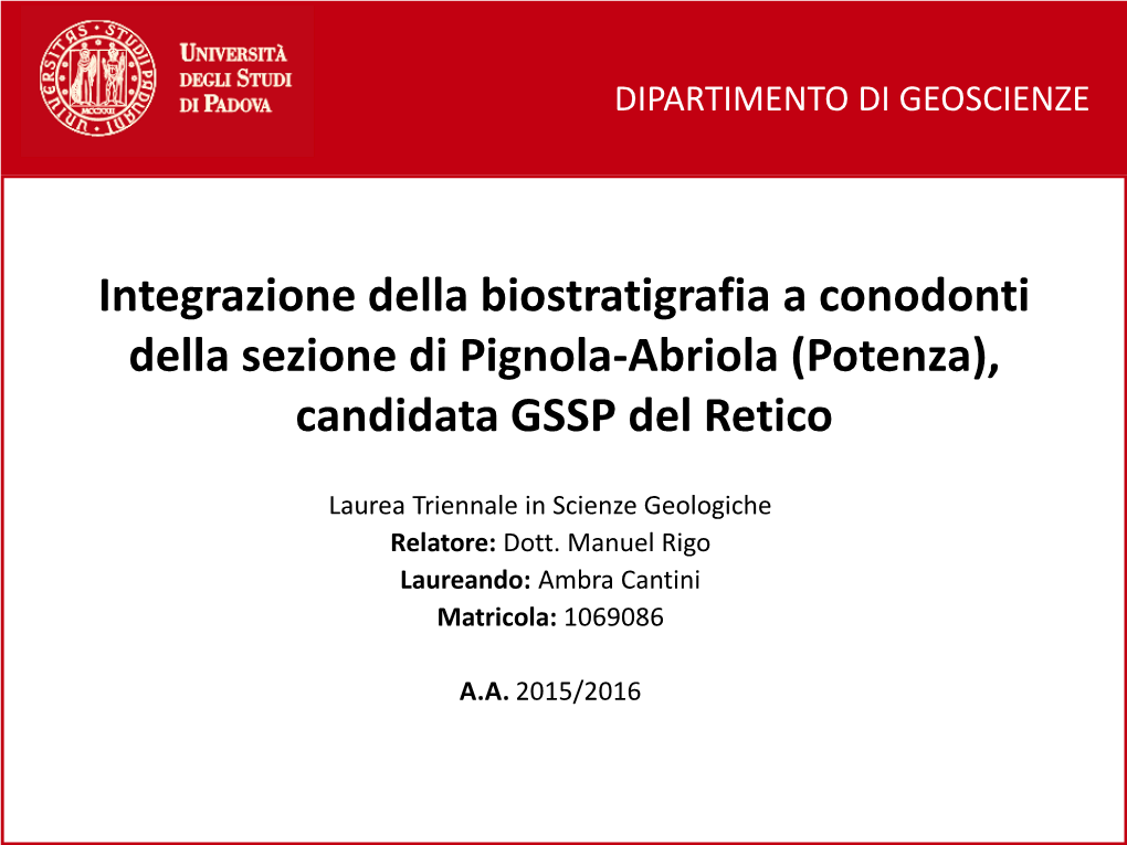 Integrazione Della Biostratigrafia a Conodonti Della Sezione Di Pignola-Abriola (Potenza), Candidata GSSP Del Retico