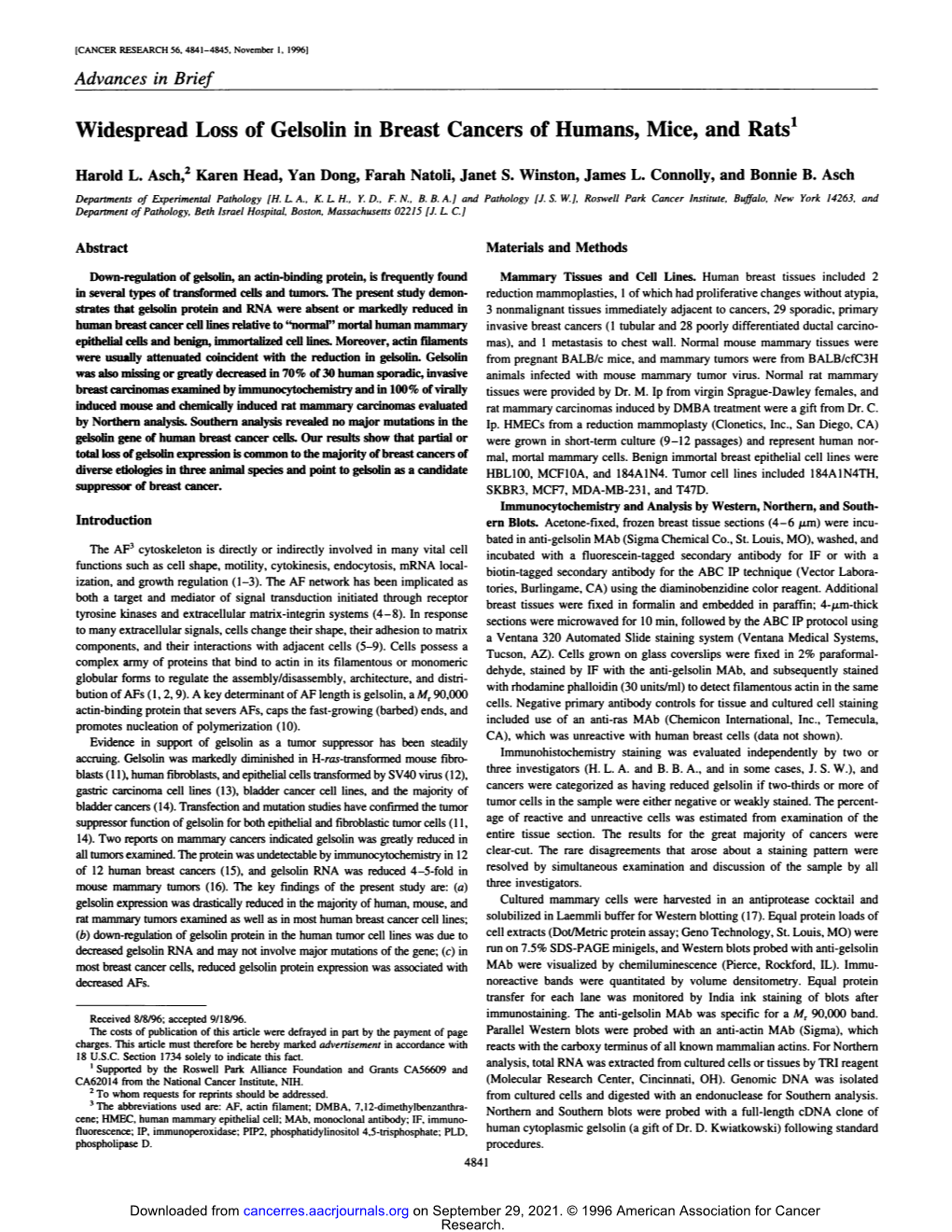 Widespread Loss of Gelsolin in Breast Cancers of Humans, Mice, and Rats1