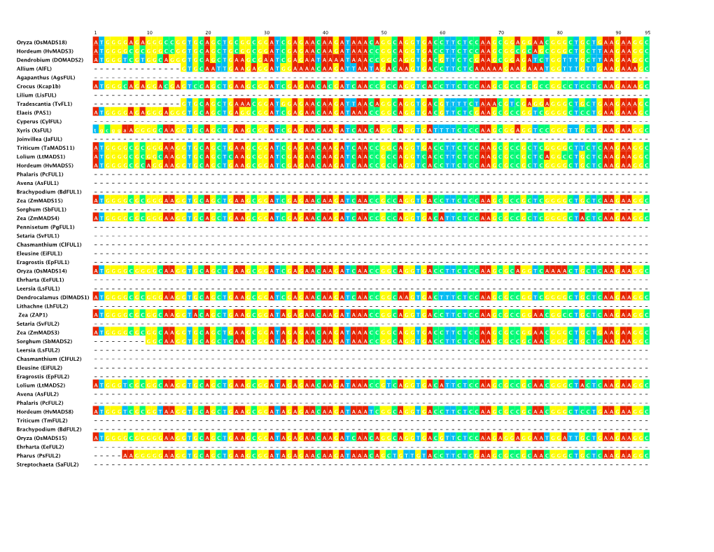 Supplemental Figure 1.Pdf