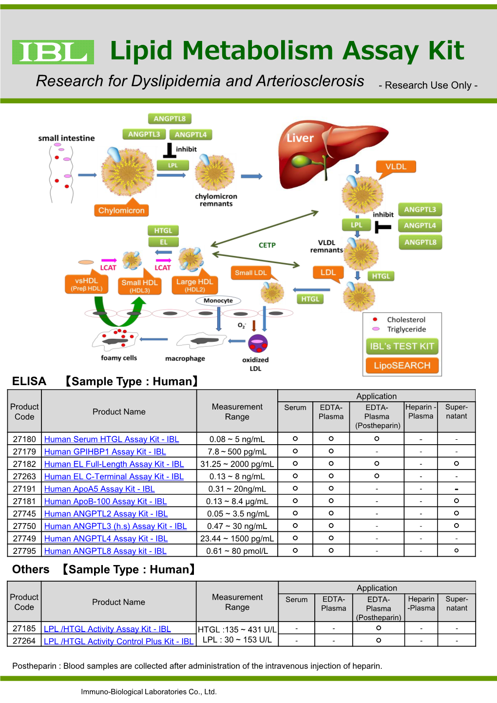 Lipid Metabolism Assays