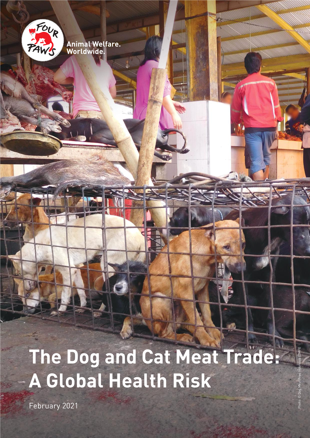 The Dog and Cat Meat Trade: a Global Health Risk