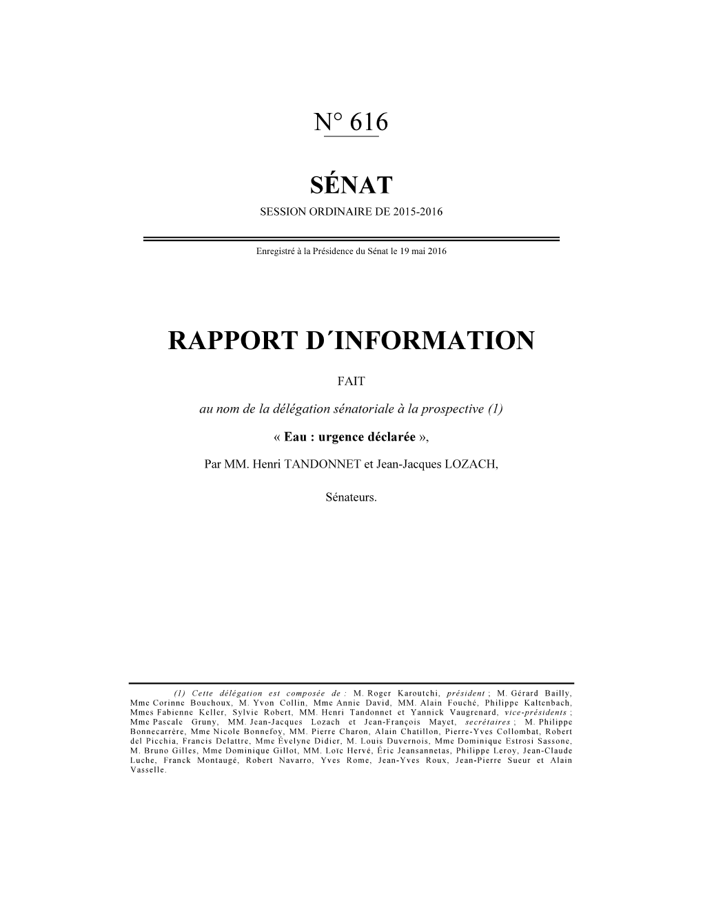 Rapport D´Information