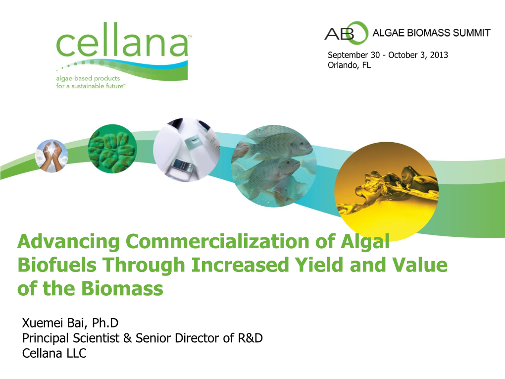 Algae Biofuel Overview