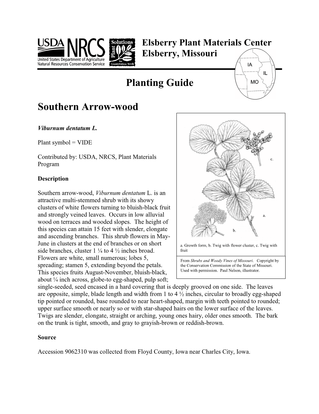 Planting Guide Southern Arrow-Wood