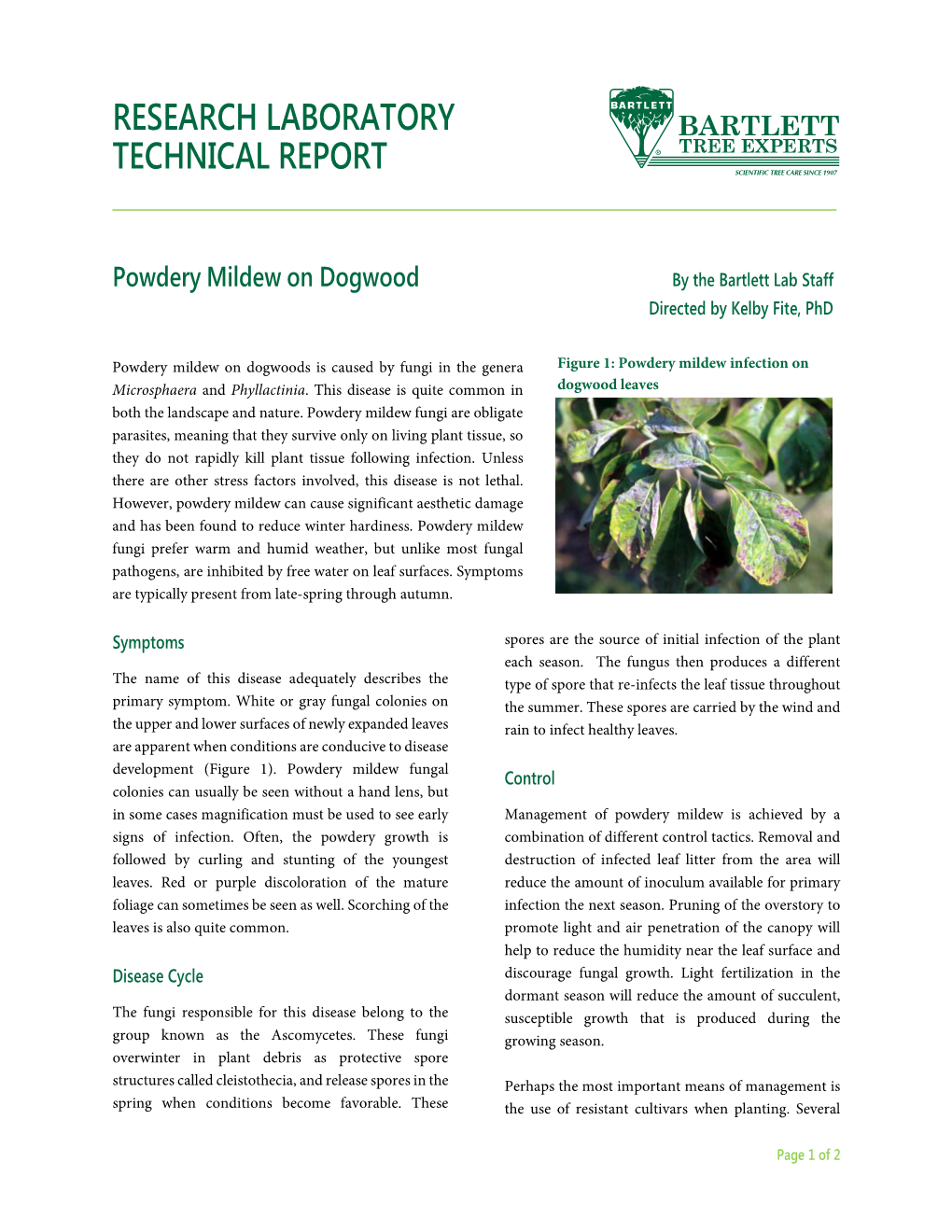 Powdery Mildew on Dogwood by the Bartlett Lab Staff Directed by Kelby Fite, Phd