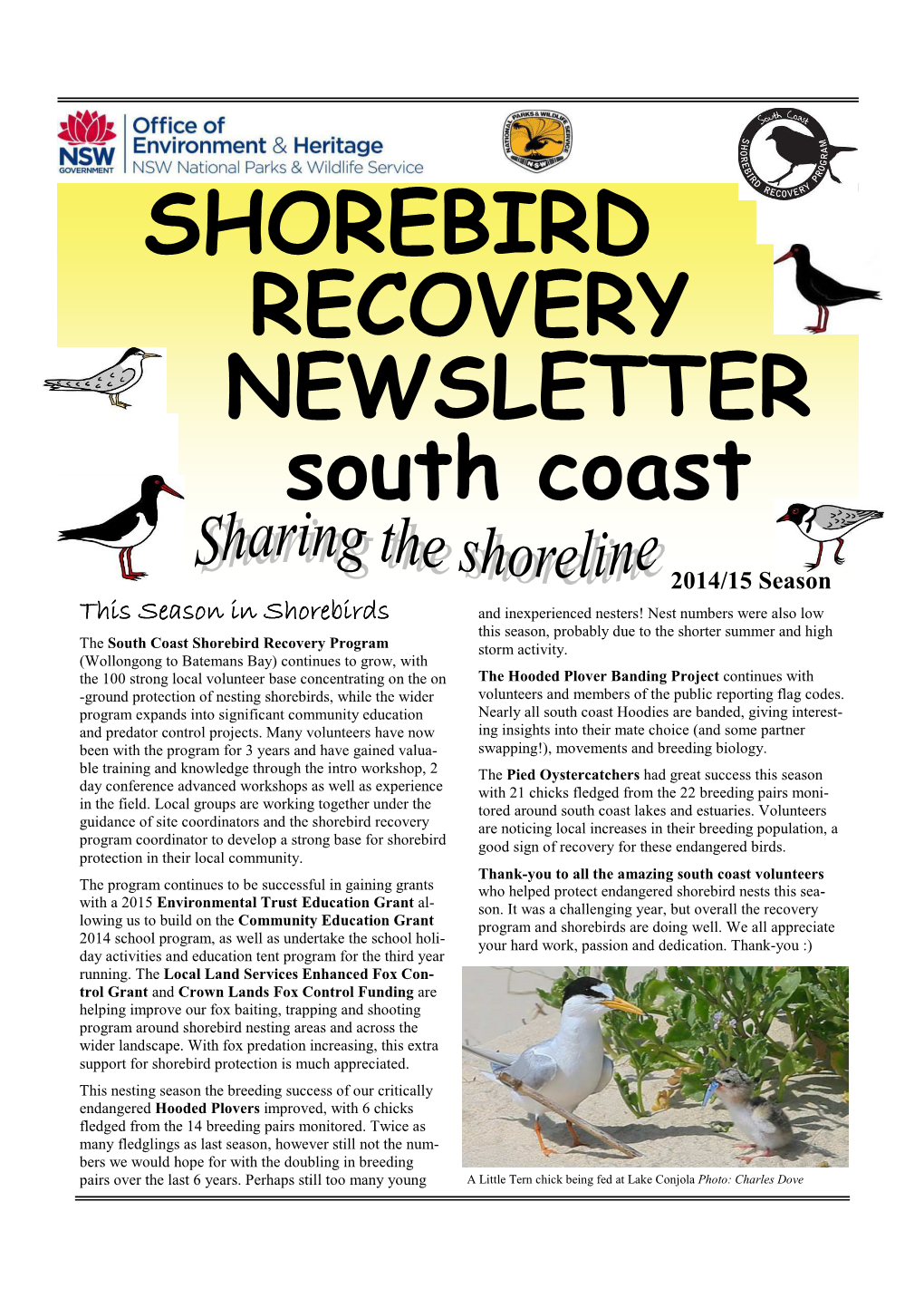 South Coast Shorebird Recovery Program 2014/15 Newsletter