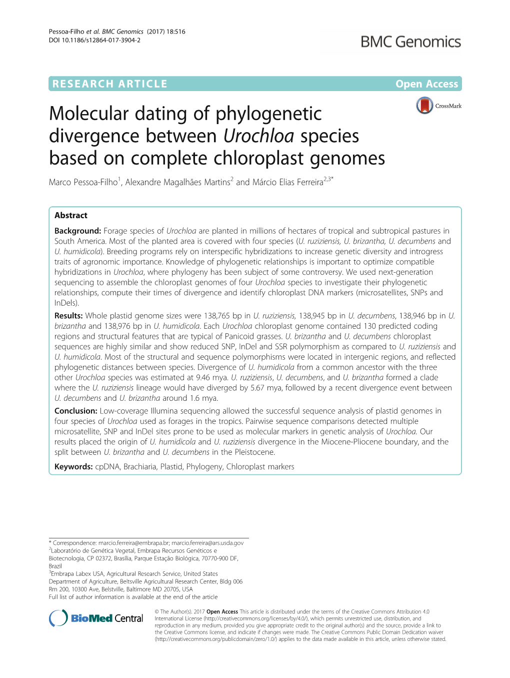 Molecular Dating of Phylogenetic Divergence Between Urochloa