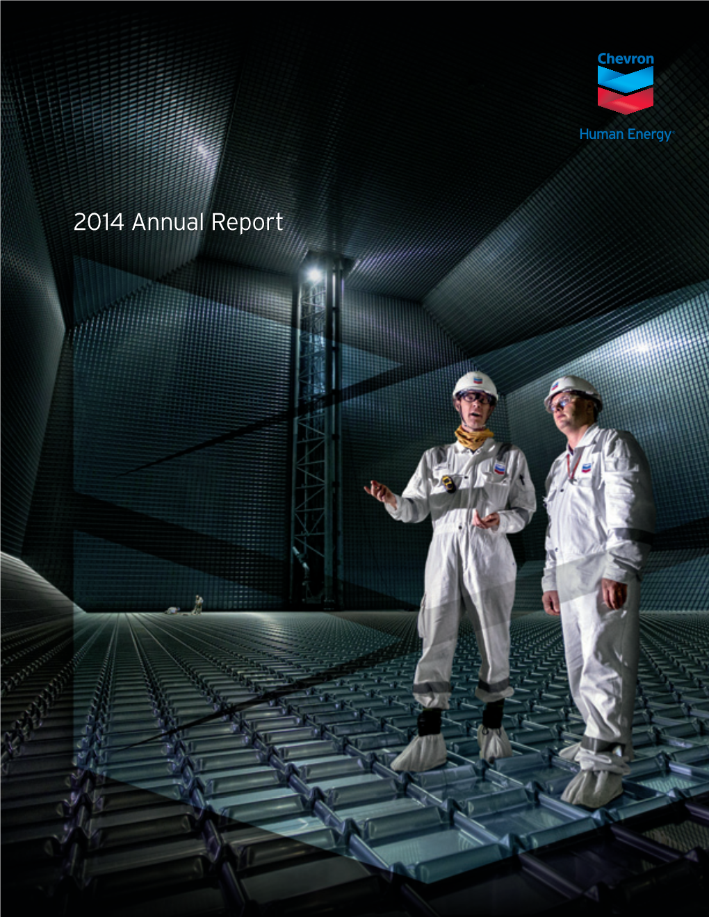 2014 Annual Report