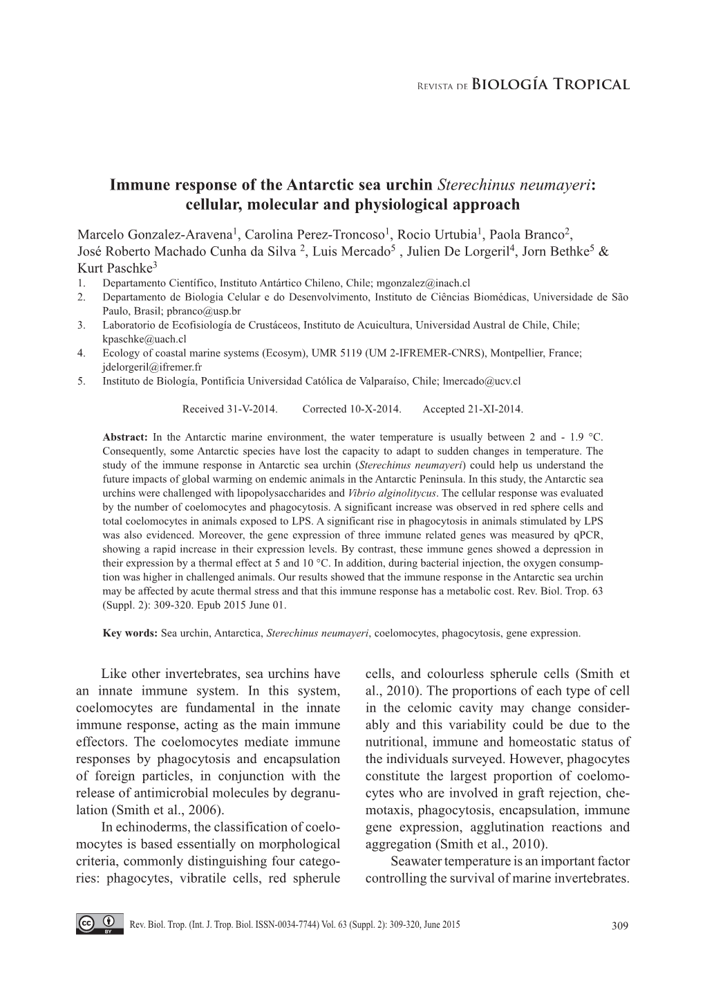 Immune Response of the Antarctic Sea Urchin Sterechinus Neumayeri: Cellular, Molecular and Physiological Approach