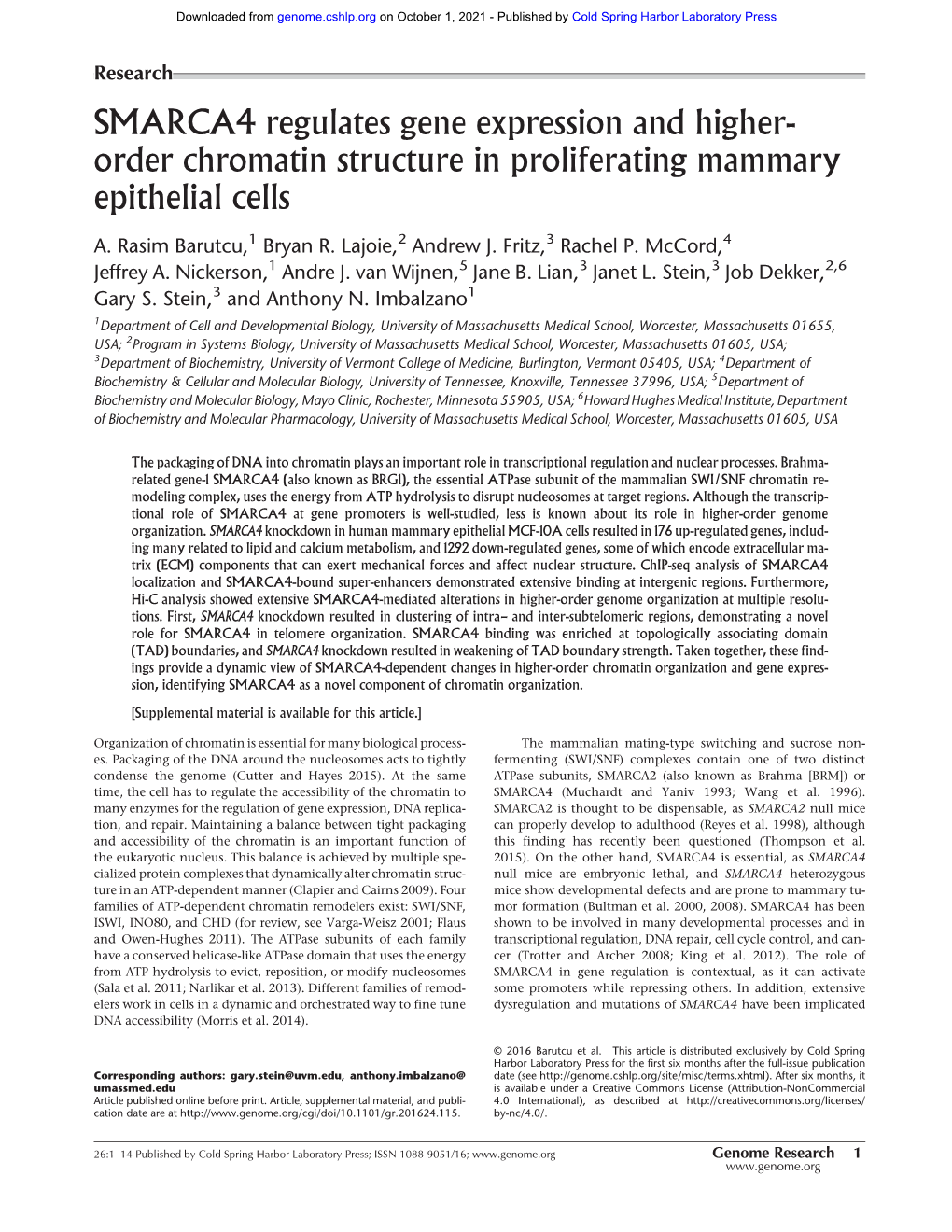 SMARCA4 Regulates Gene Expression and Higher-Order Chromatin Structure in Proliferating Mammary Epithelial Cells