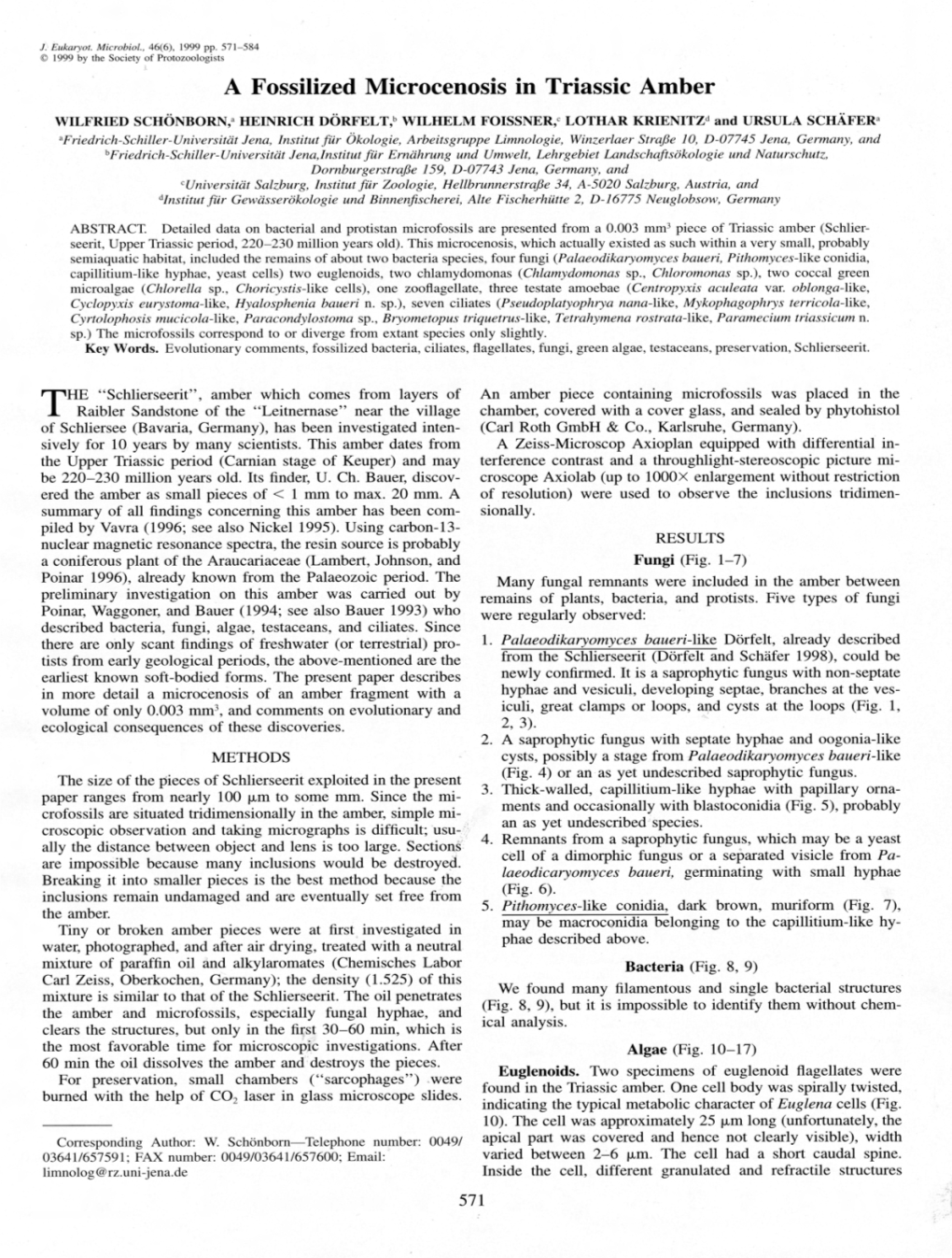 A Fossilized Microcenosis in Triassic Amber. Schönborn, W., Dörfelt, H., Foissner, W., Krienitz, L