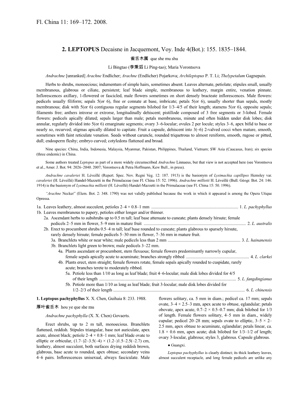 Fl. China 11: 169–172. 2008. 2. LEPTOPUS Decaisne In