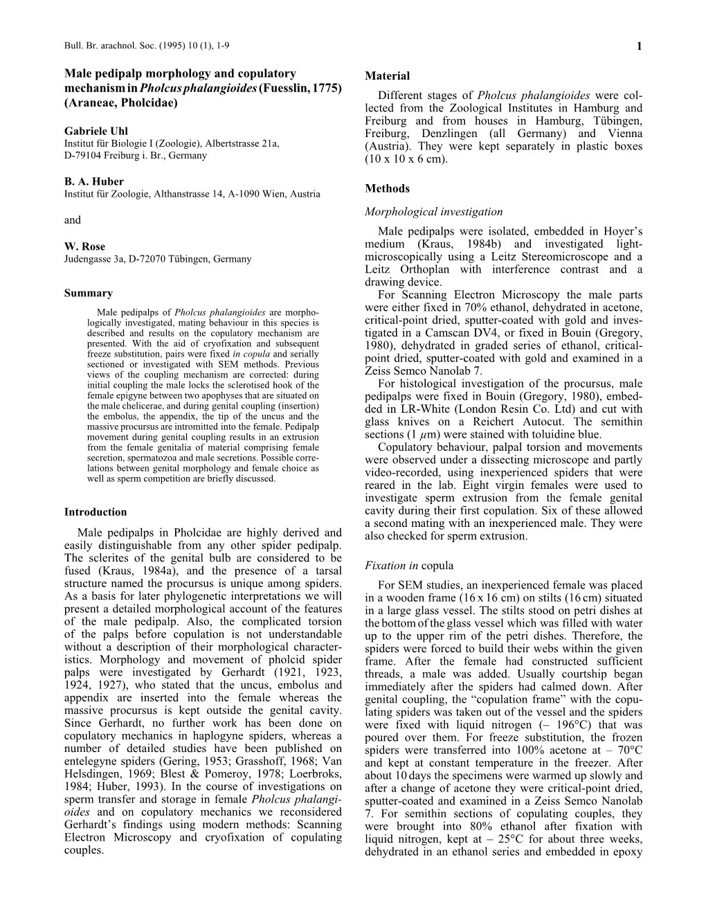 Male Pedipalp Morphology and Copulatory