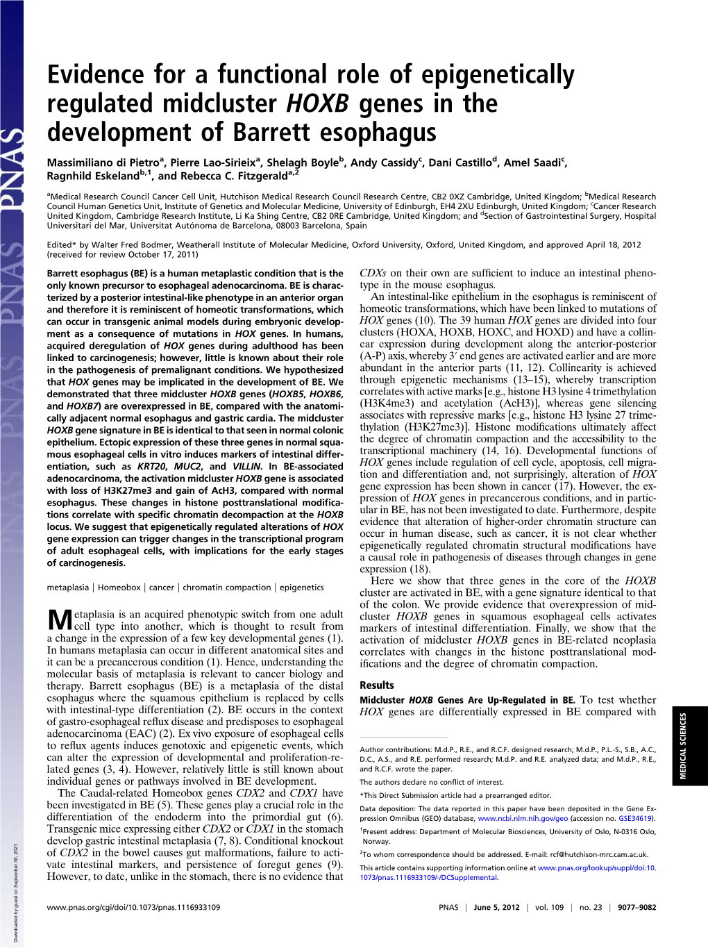 Evidence for a Functional Role of Epigenetically Regulated Midcluster HOXB Genes in the Development of Barrett Esophagus