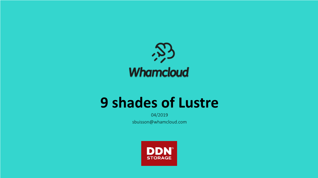 9 Shades of Lustre 04/2019 Sbuisson@Whamcloud.Com Lustre Features Review