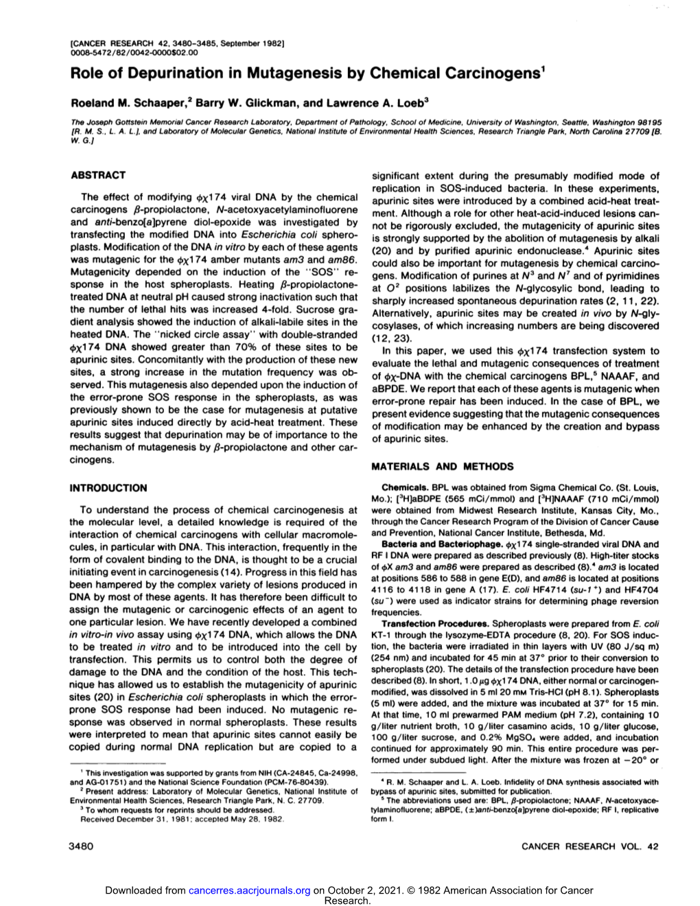 Role of Depurination in Mutagenesis by Chemical Carcinogens1