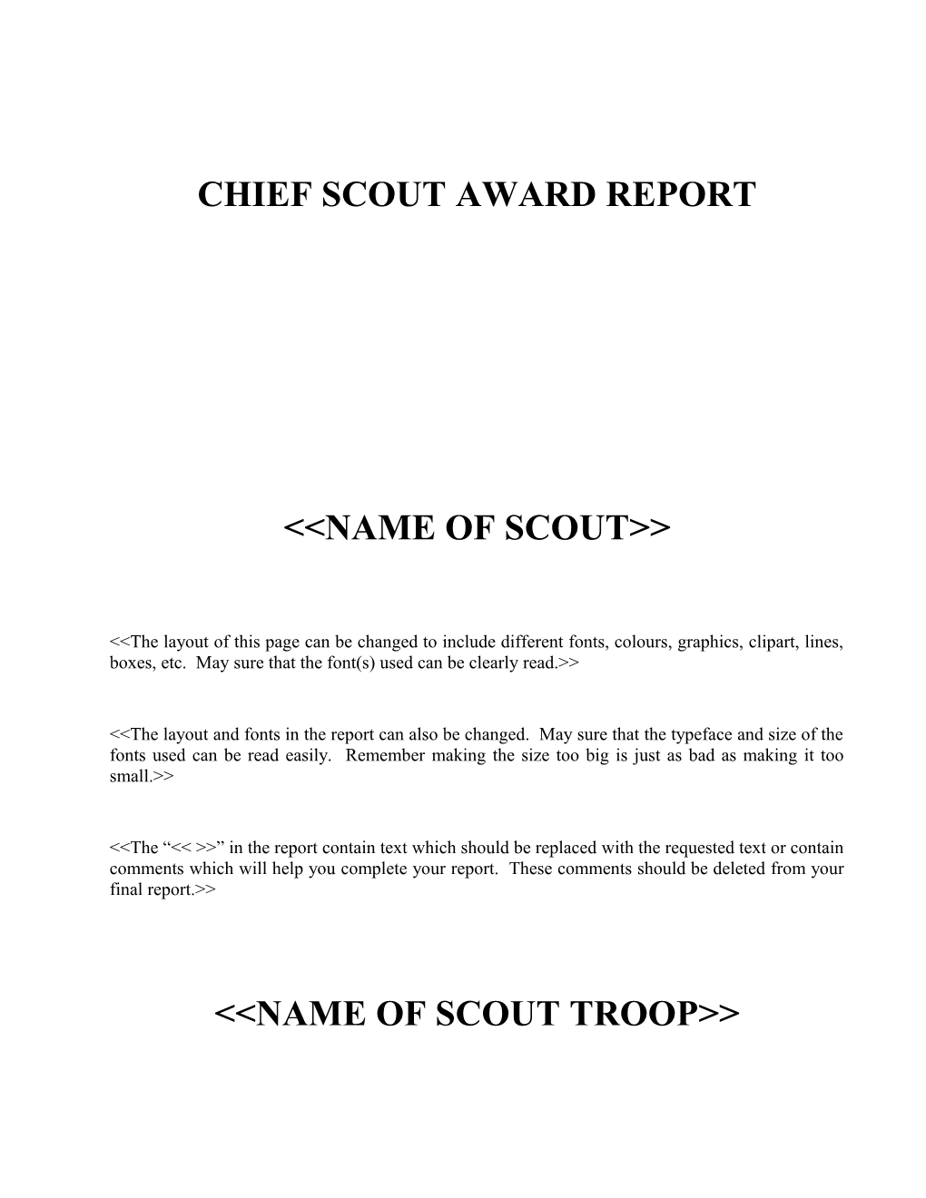 Chief Scout Award Report