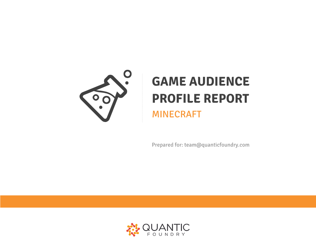 Game Audience Profile Report Minecraft