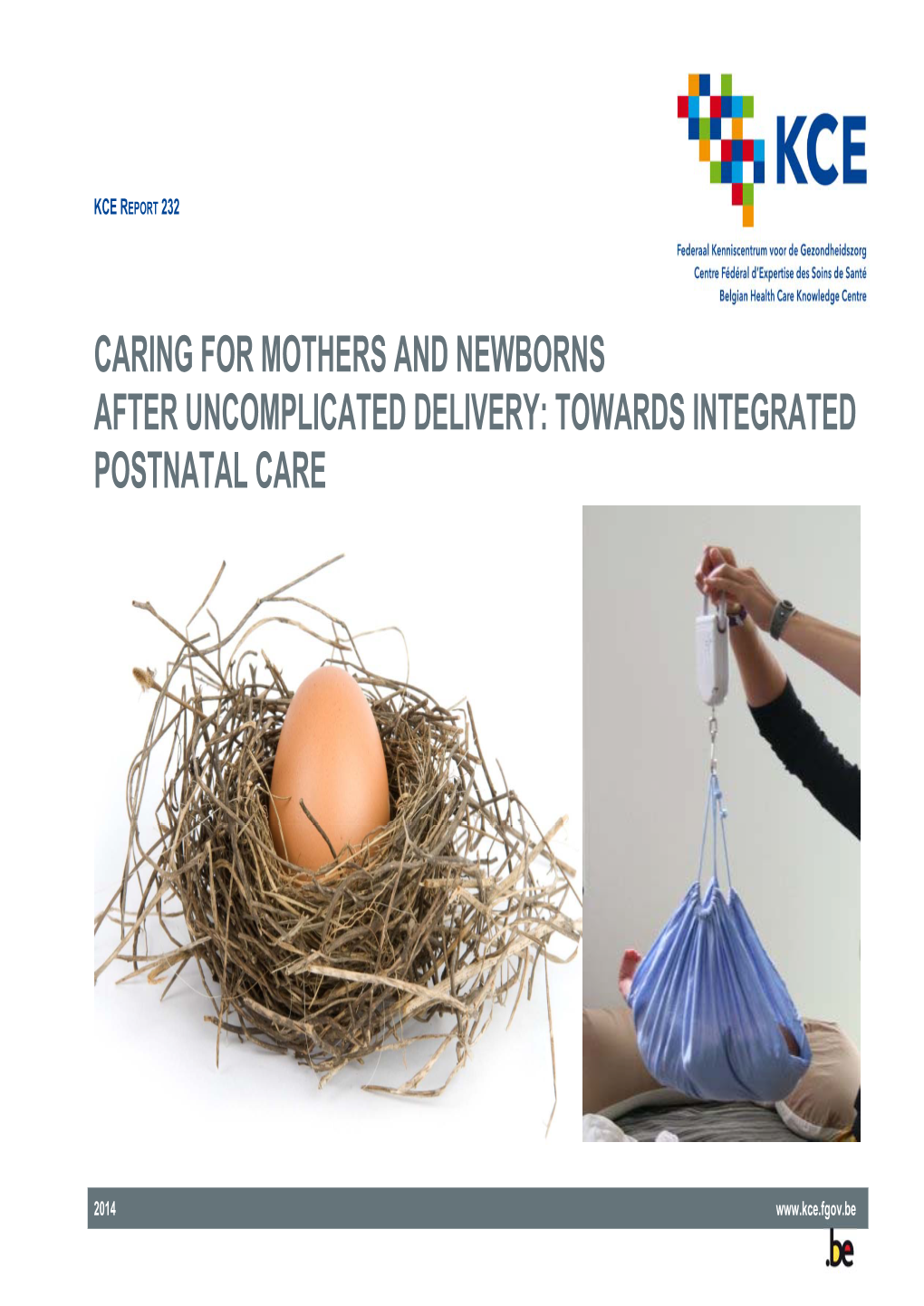 Towards Integrated Postnatal Care